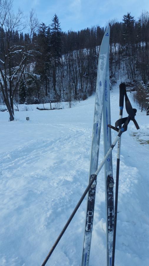 Camping Harenda Pokoje Goscinne I Domki Zakopane Exterior foto
