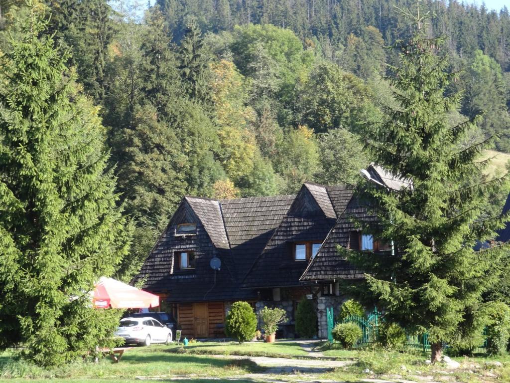 Camping Harenda Pokoje Goscinne I Domki Zakopane Zimmer foto