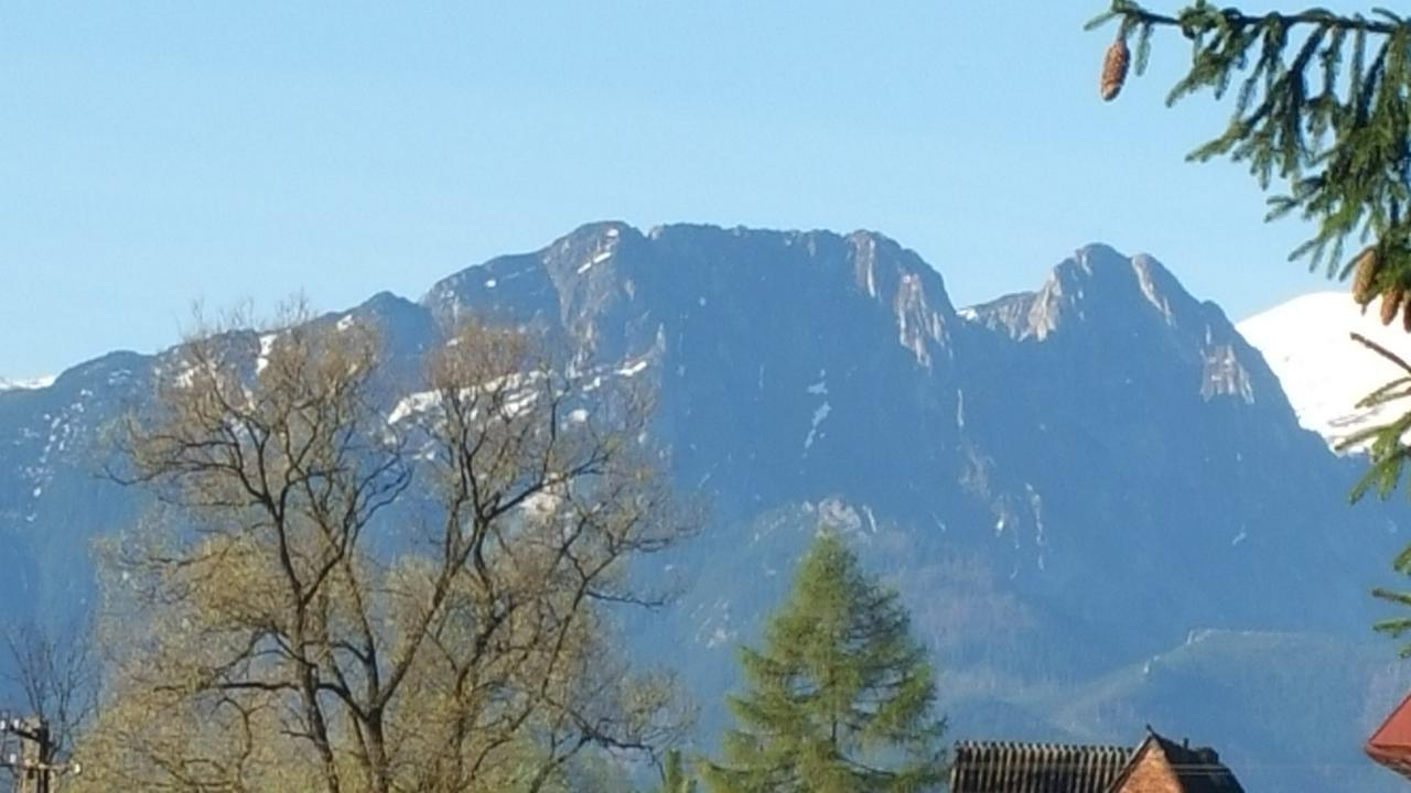 Camping Harenda Pokoje Goscinne I Domki Zakopane Exterior foto