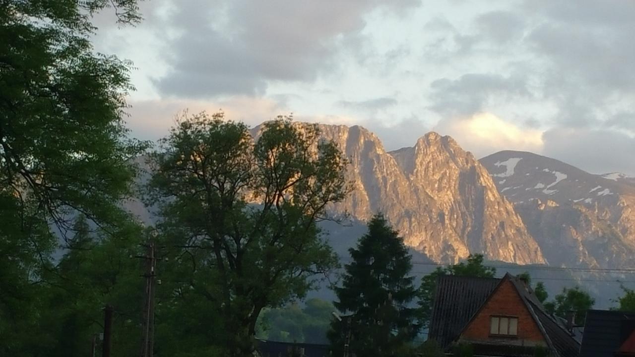 Camping Harenda Pokoje Goscinne I Domki Zakopane Exterior foto